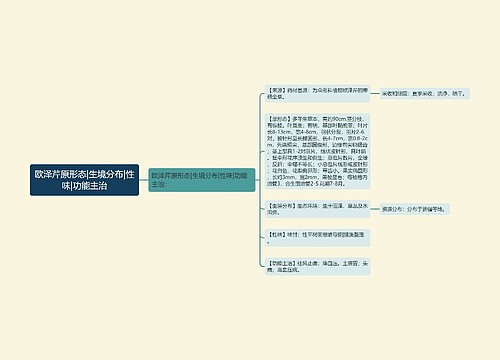 欧泽芹原形态|生境分布|性味|功能主治