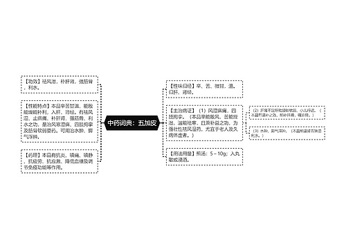 中药词典：五加皮