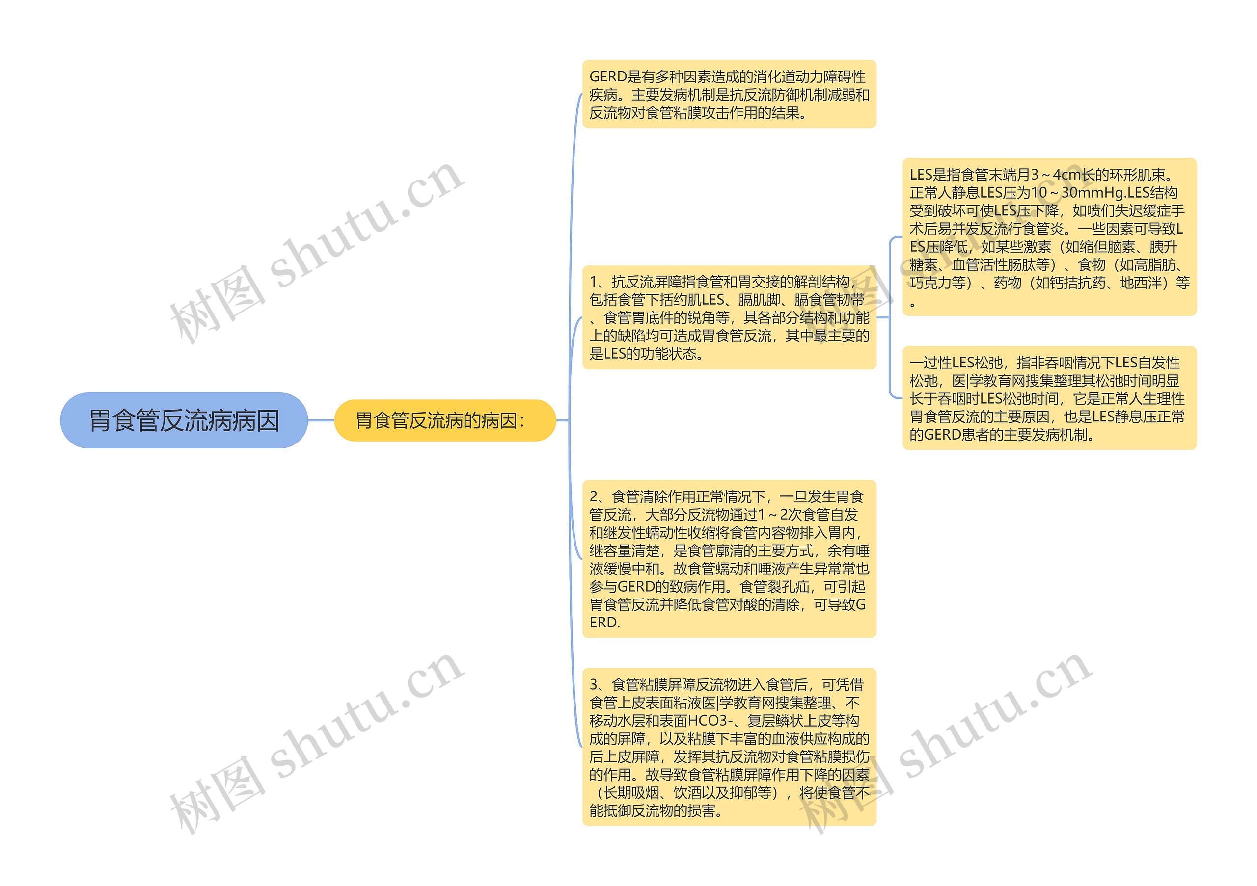 胃食管反流病病因思维导图