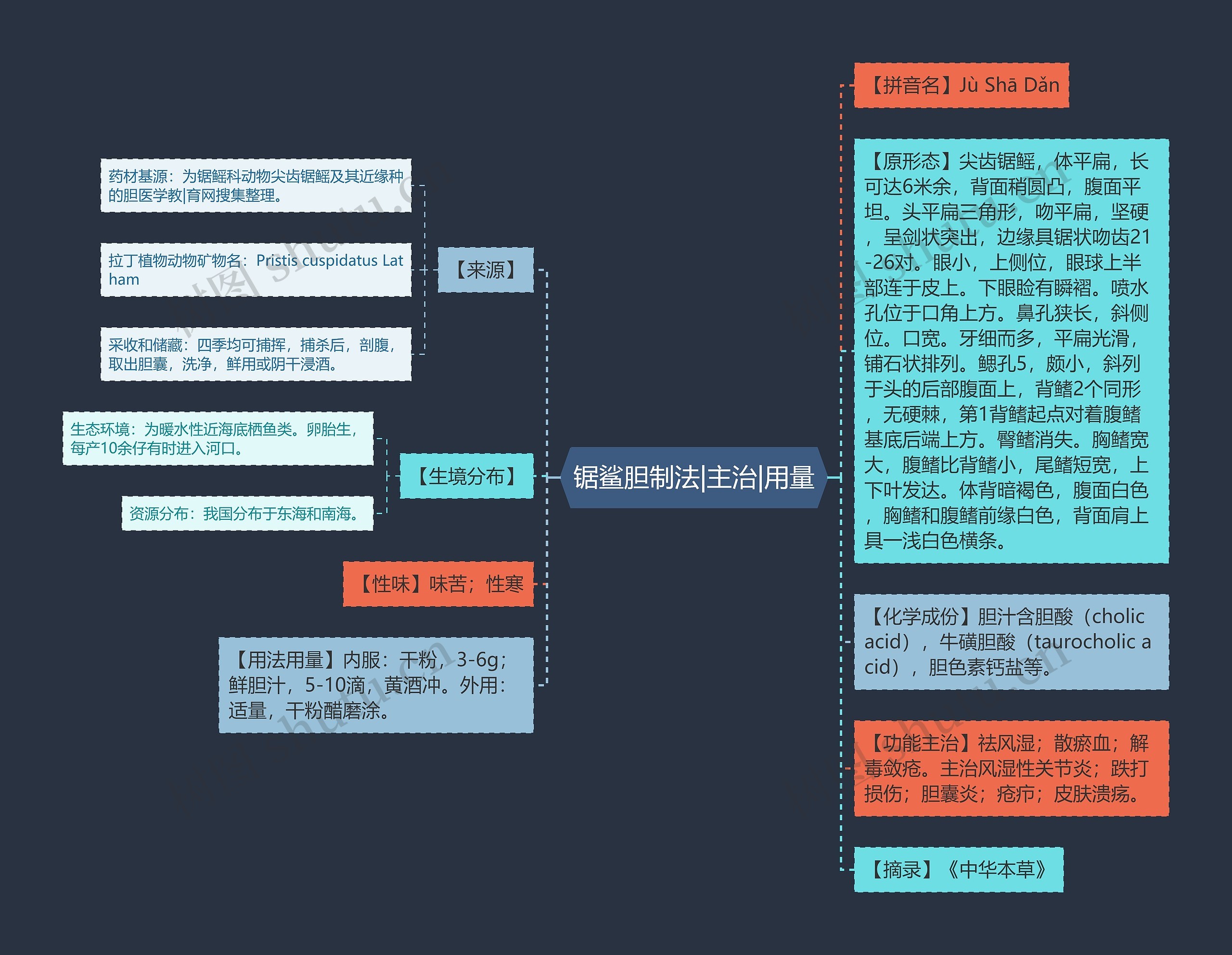 锯鲨胆制法|主治|用量思维导图