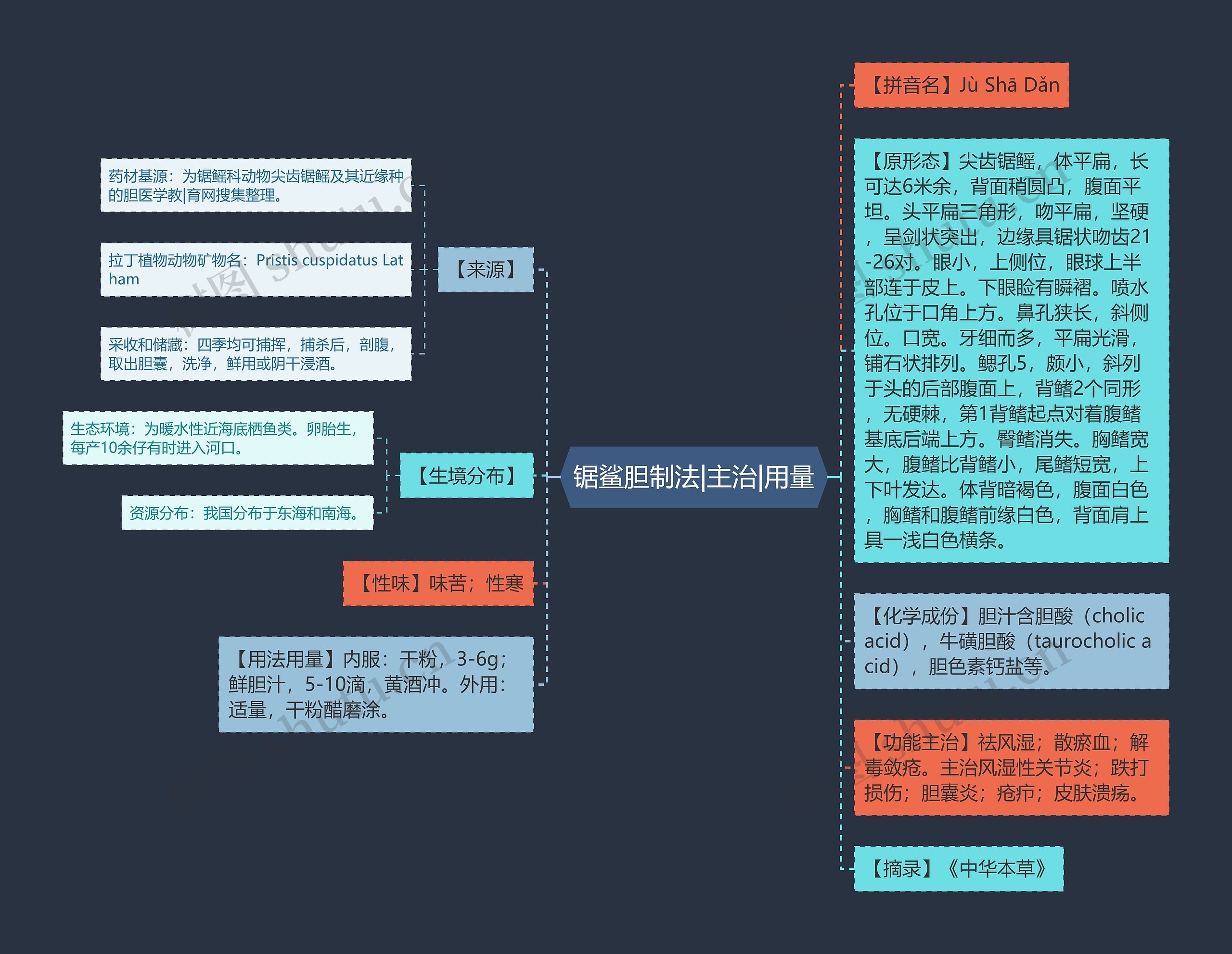 锯鲨胆制法|主治|用量 锯鲨胆制法|主治|用量