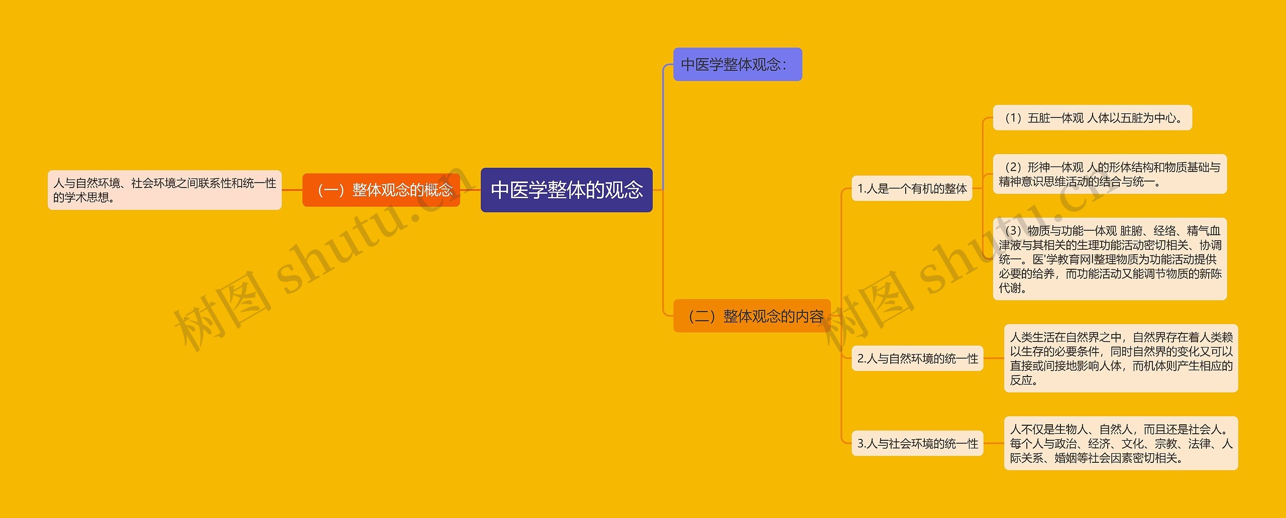 中医学整体的观念