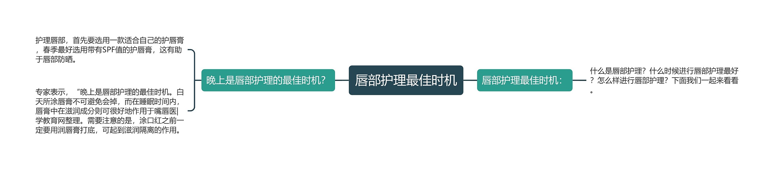 唇部护理最佳时机思维导图