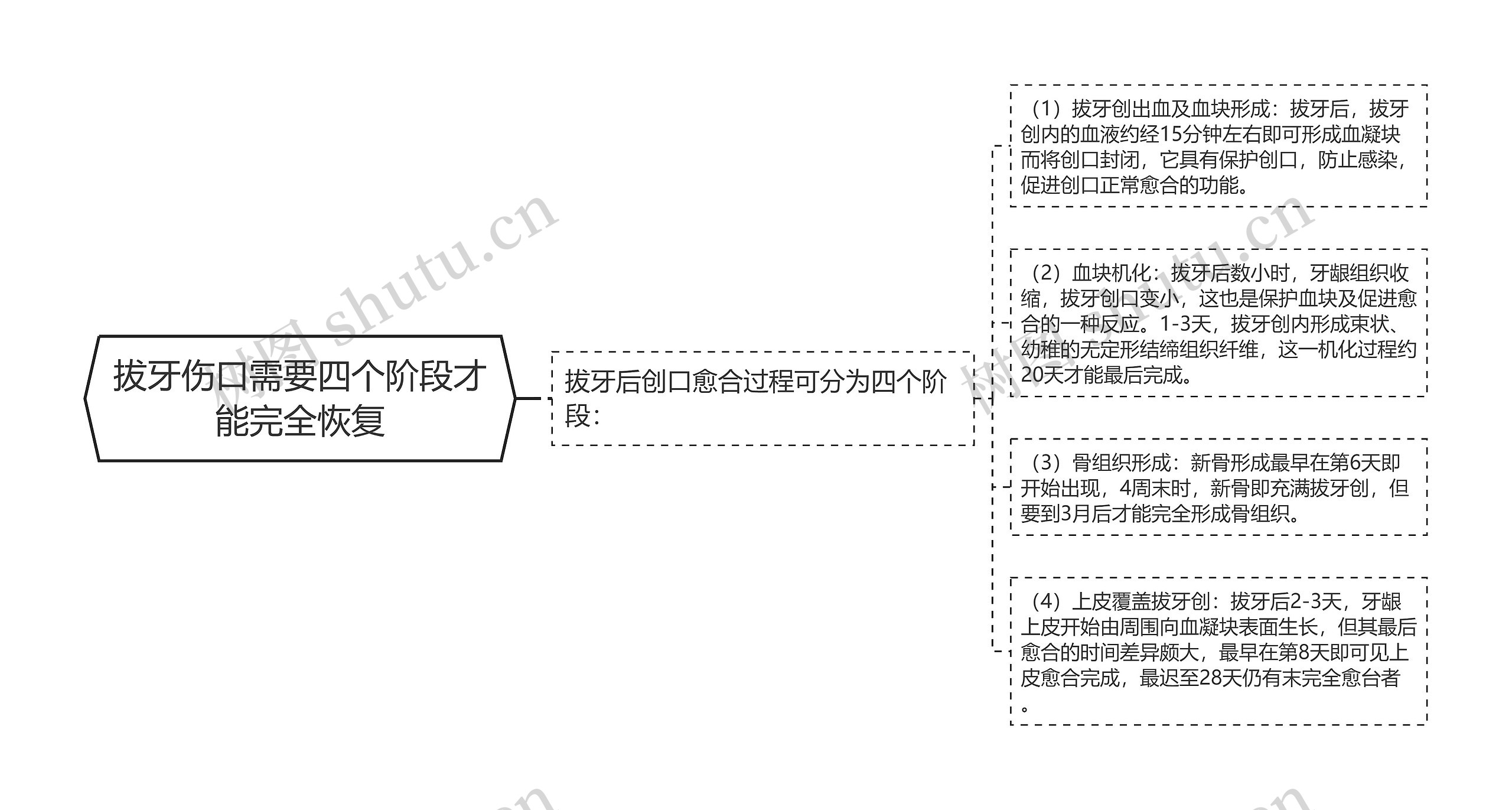 拔牙伤口需要四个阶段才能完全恢复