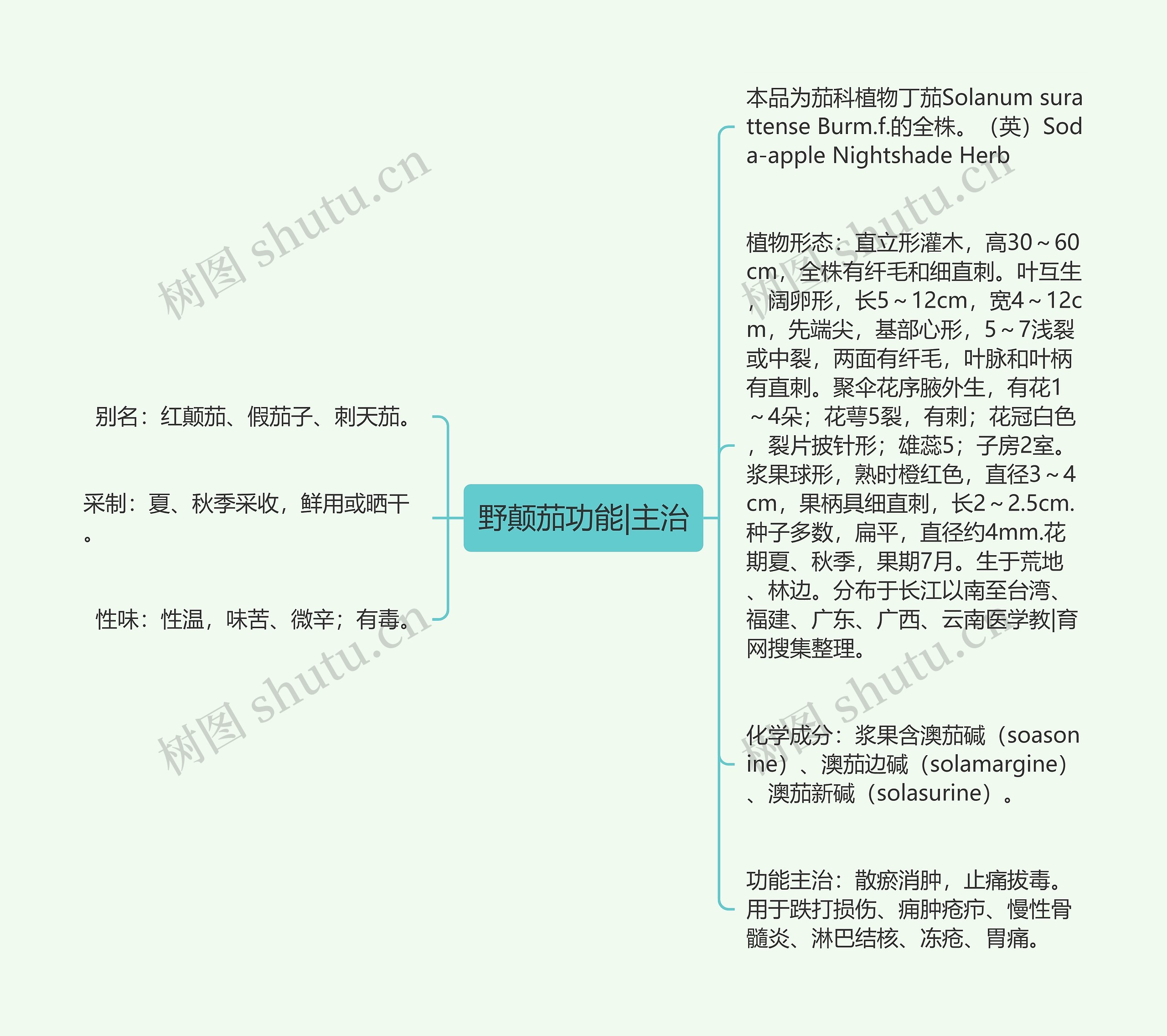 野颠茄功能|主治思维导图