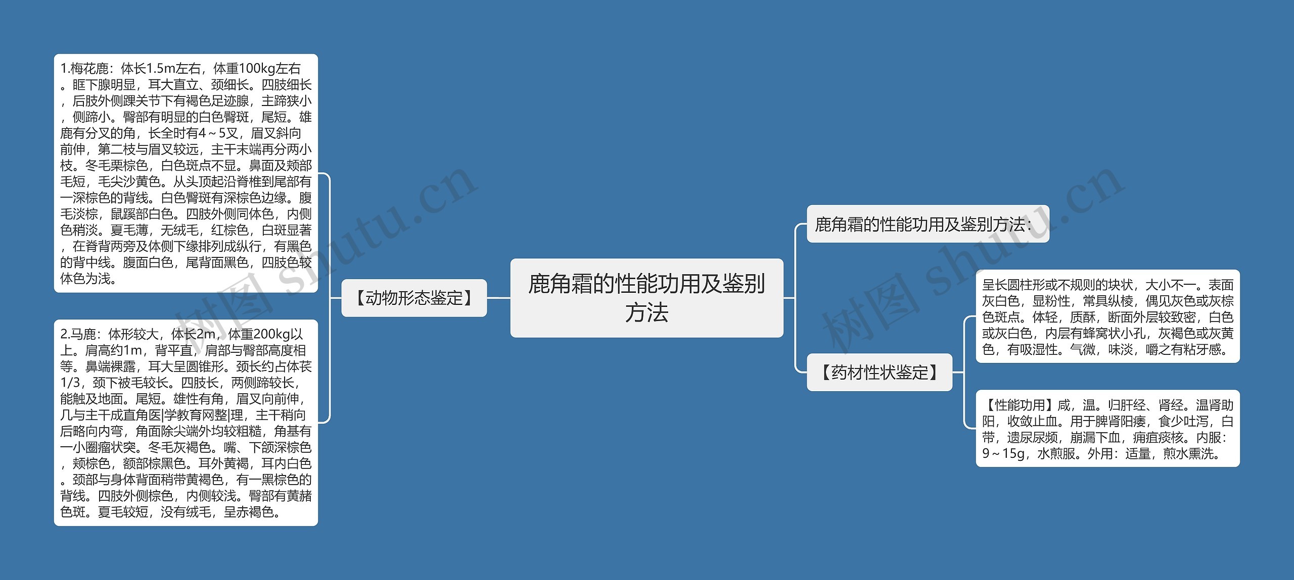 鹿角霜的性能功用及鉴别方法思维导图