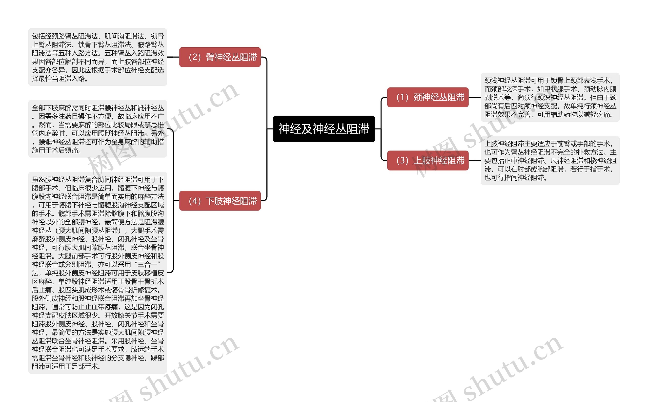 神经及神经丛阻滞