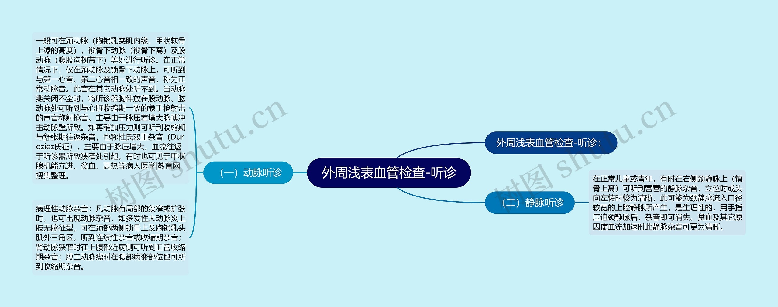 外周浅表血管检查-听诊思维导图