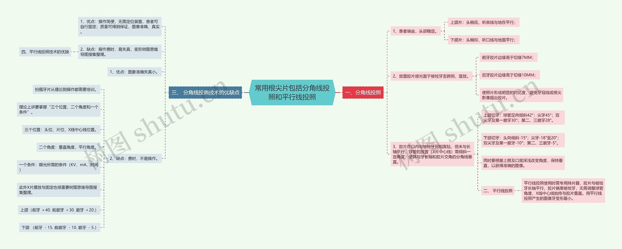 常用根尖片包括分角线投照和平行线投照思维导图