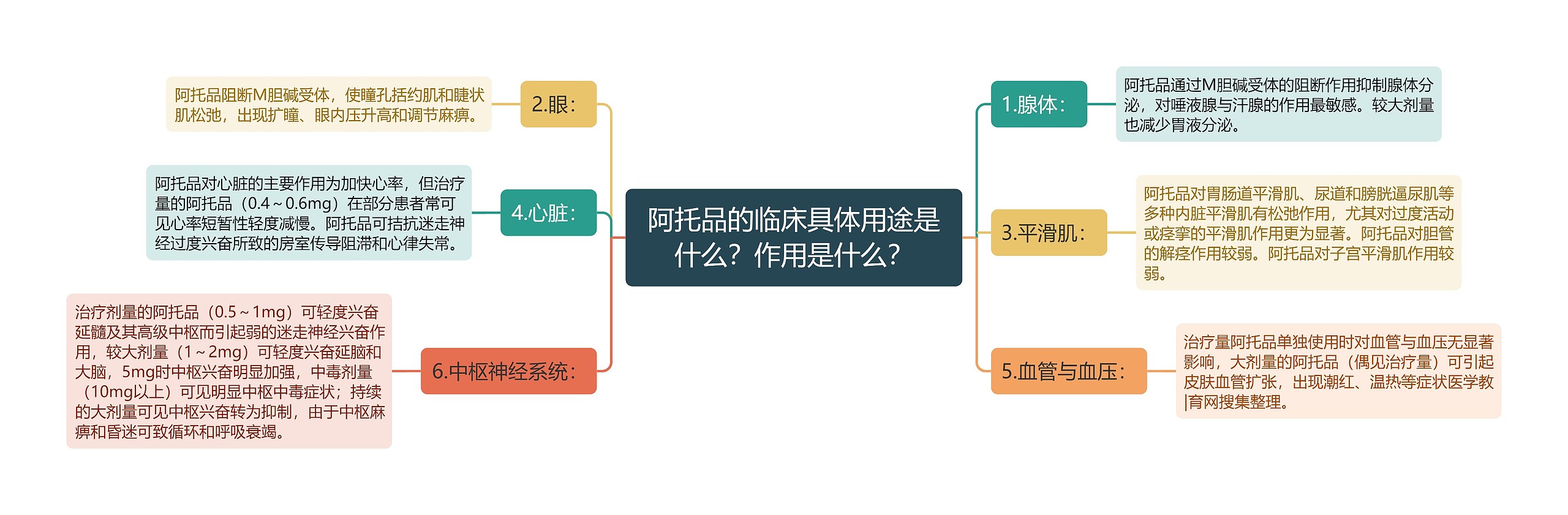 阿托品的临床具体用途是什么？作用是什么？思维导图