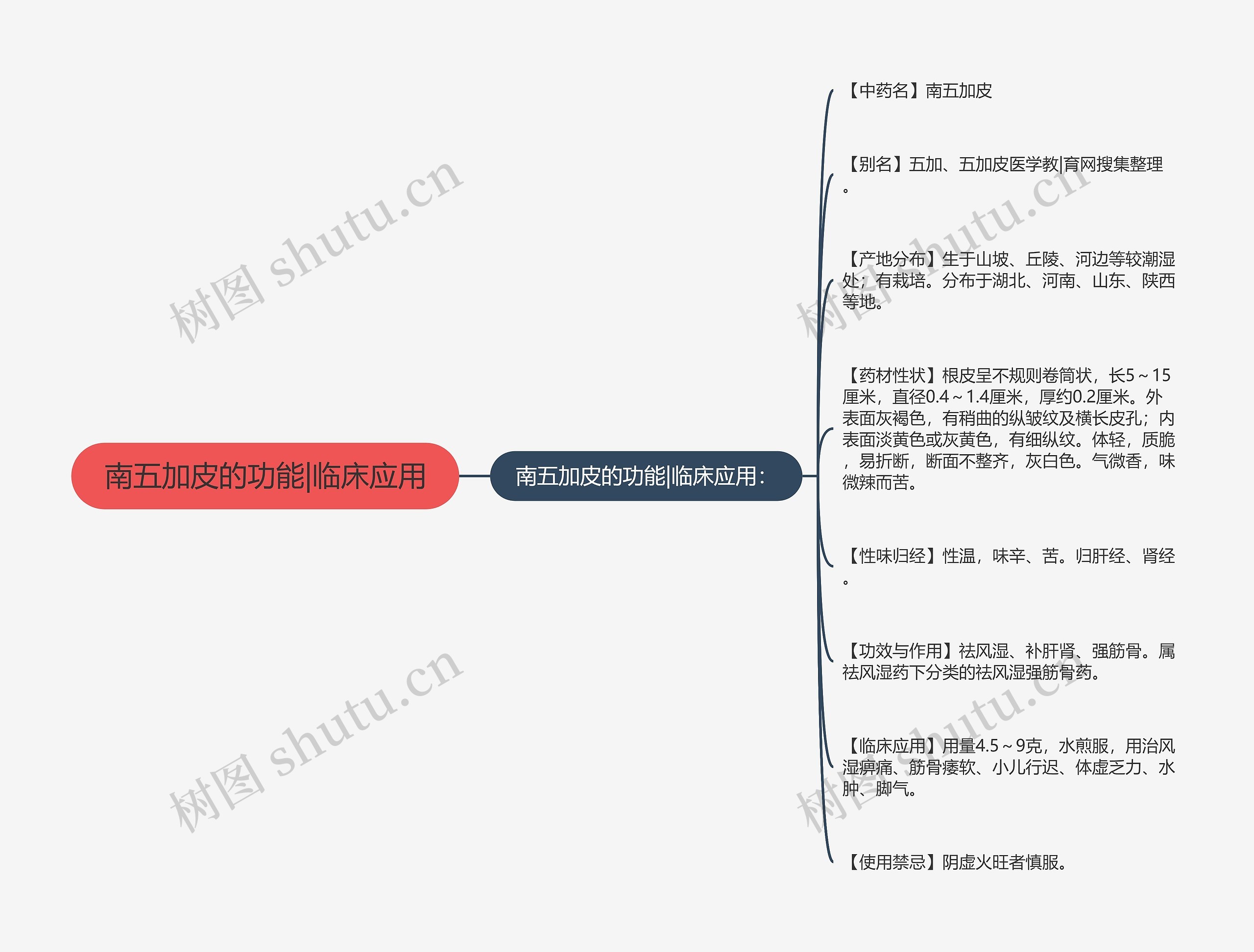 南五加皮的功能|临床应用思维导图