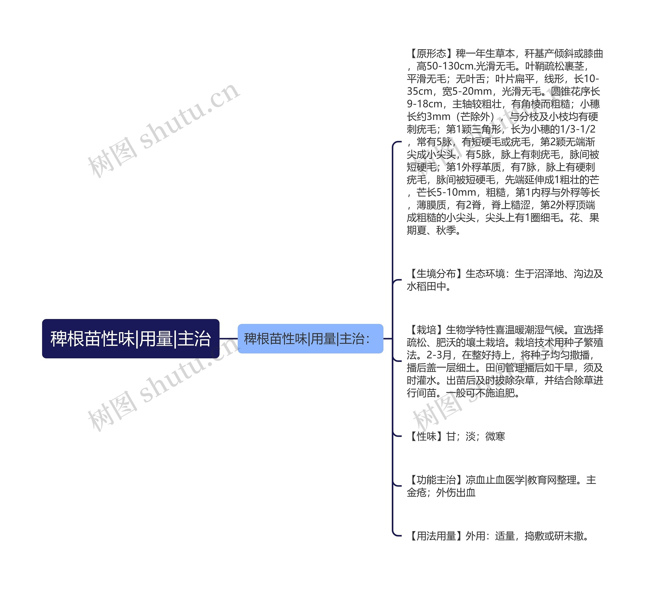 稗根苗性味|用量|主治