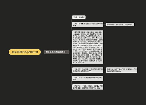 龙头草原形态|功能主治