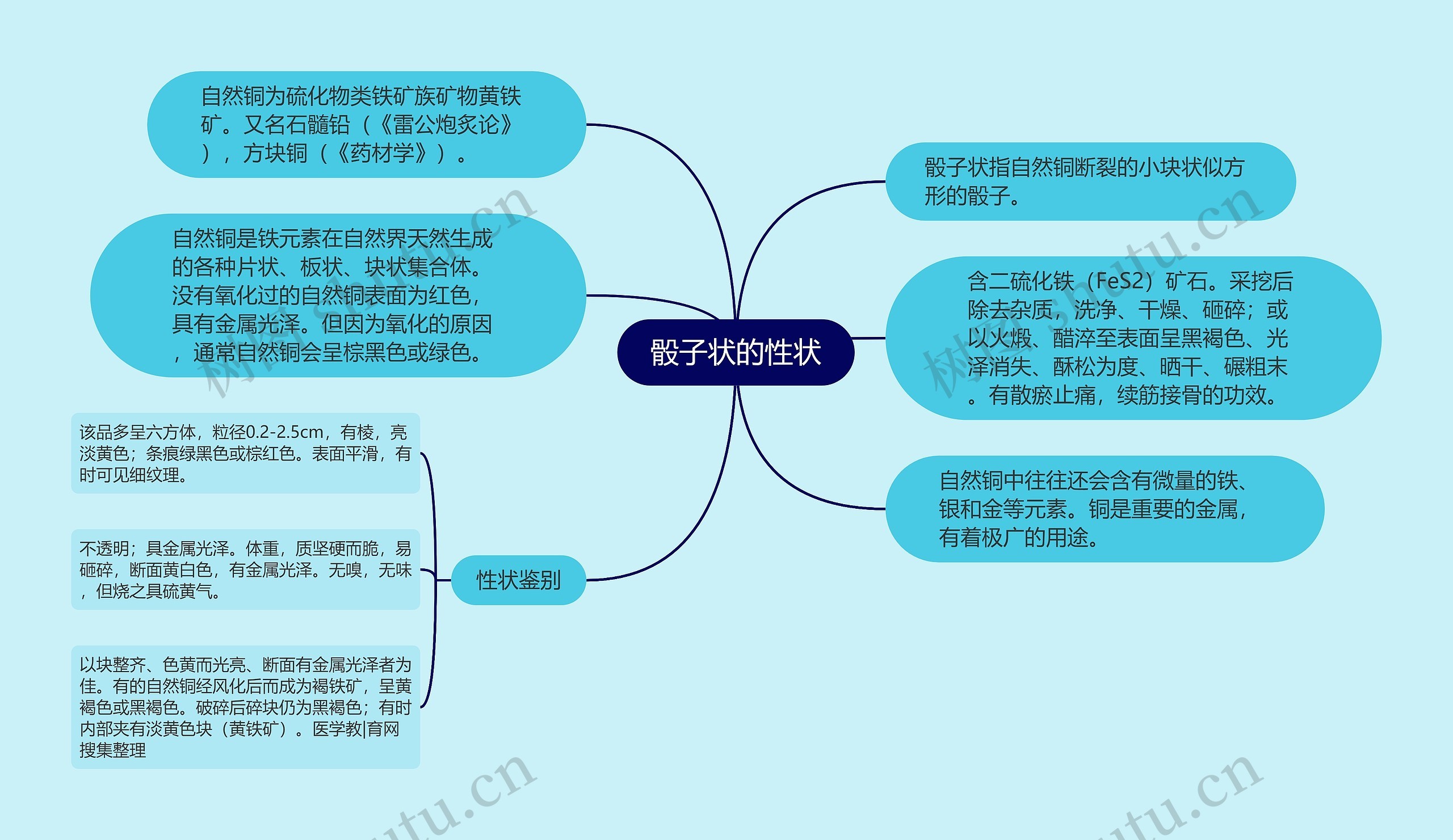 骰子状的性状思维导图