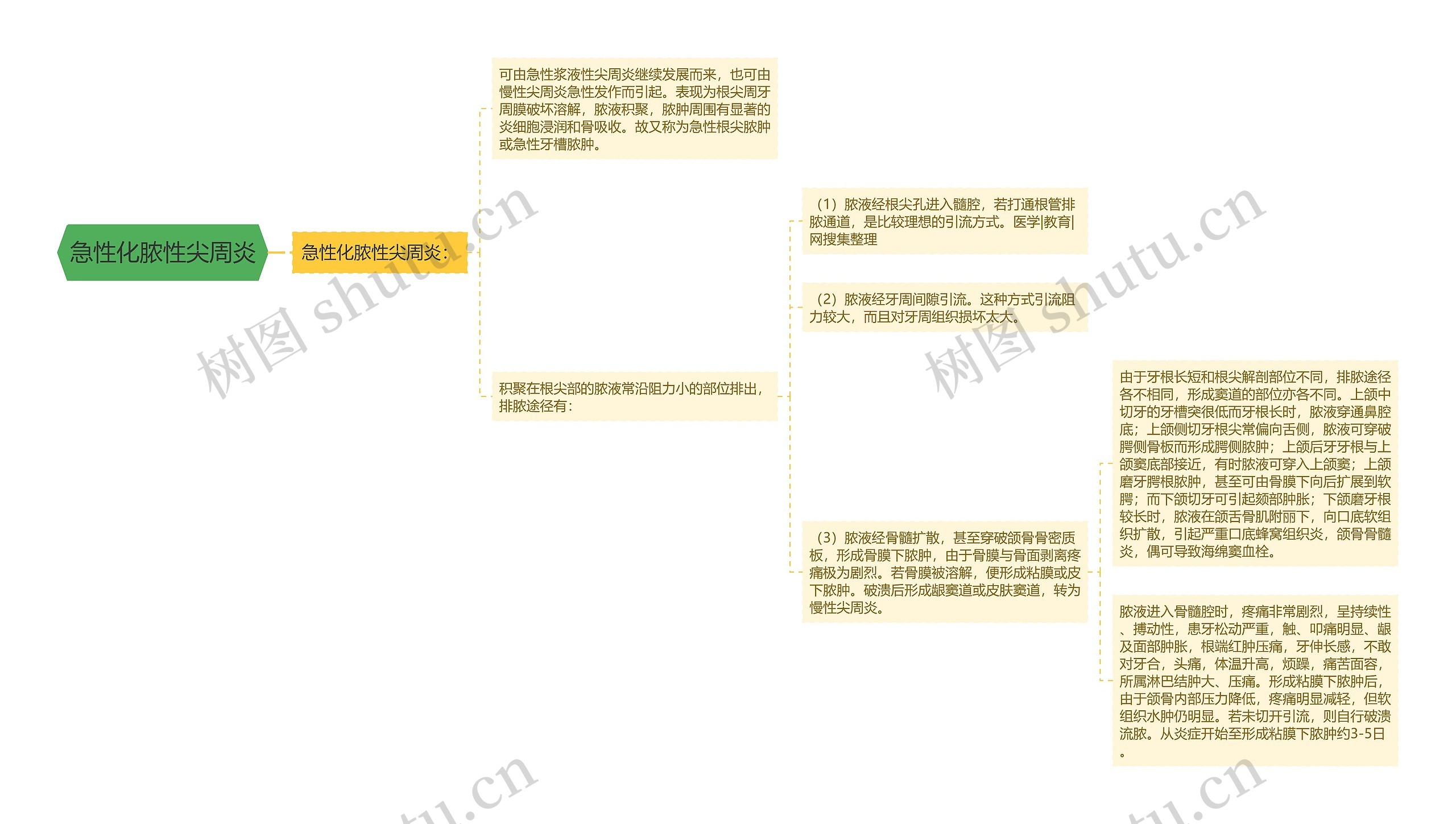 急性化脓性尖周炎思维导图