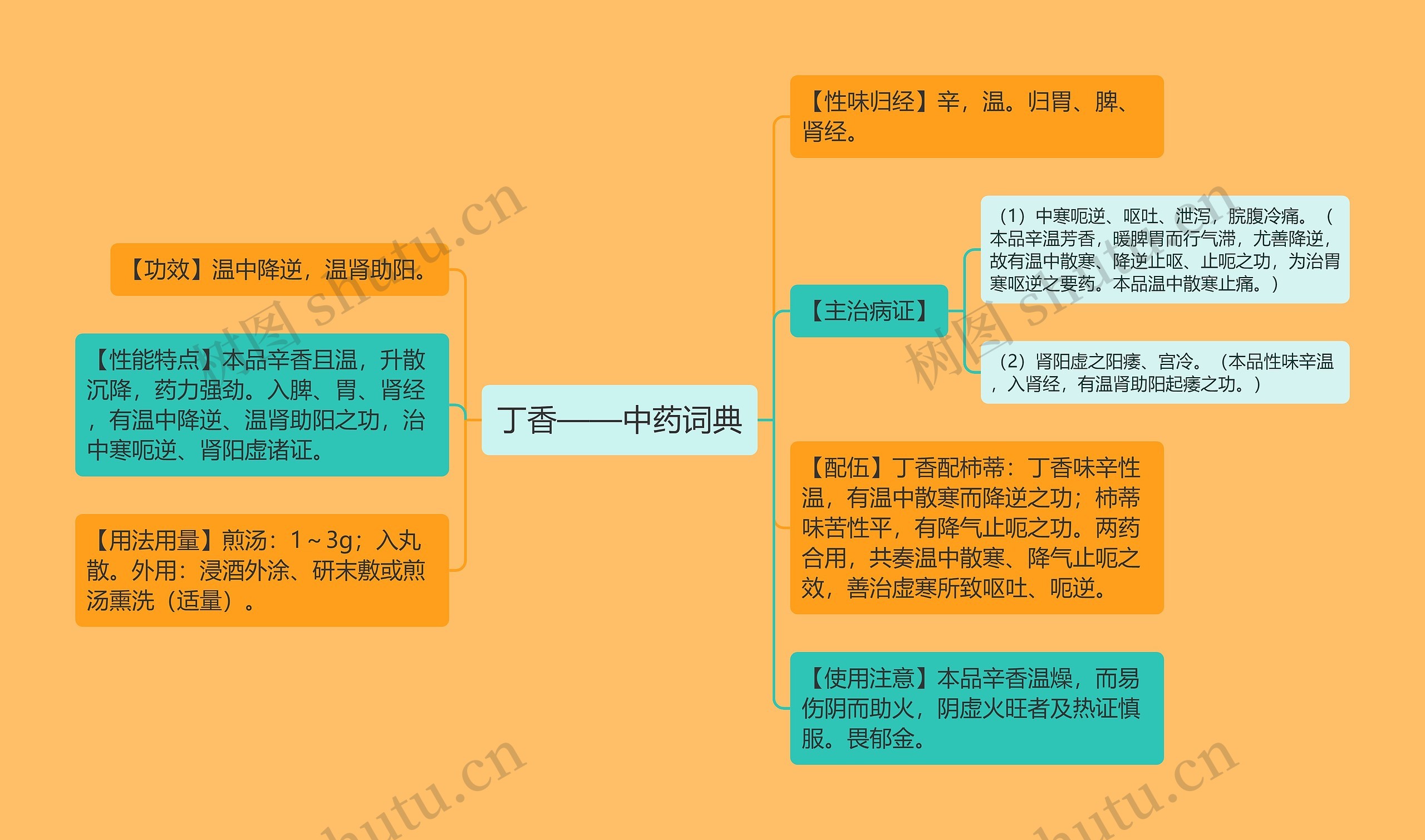 丁香——中药词典思维导图