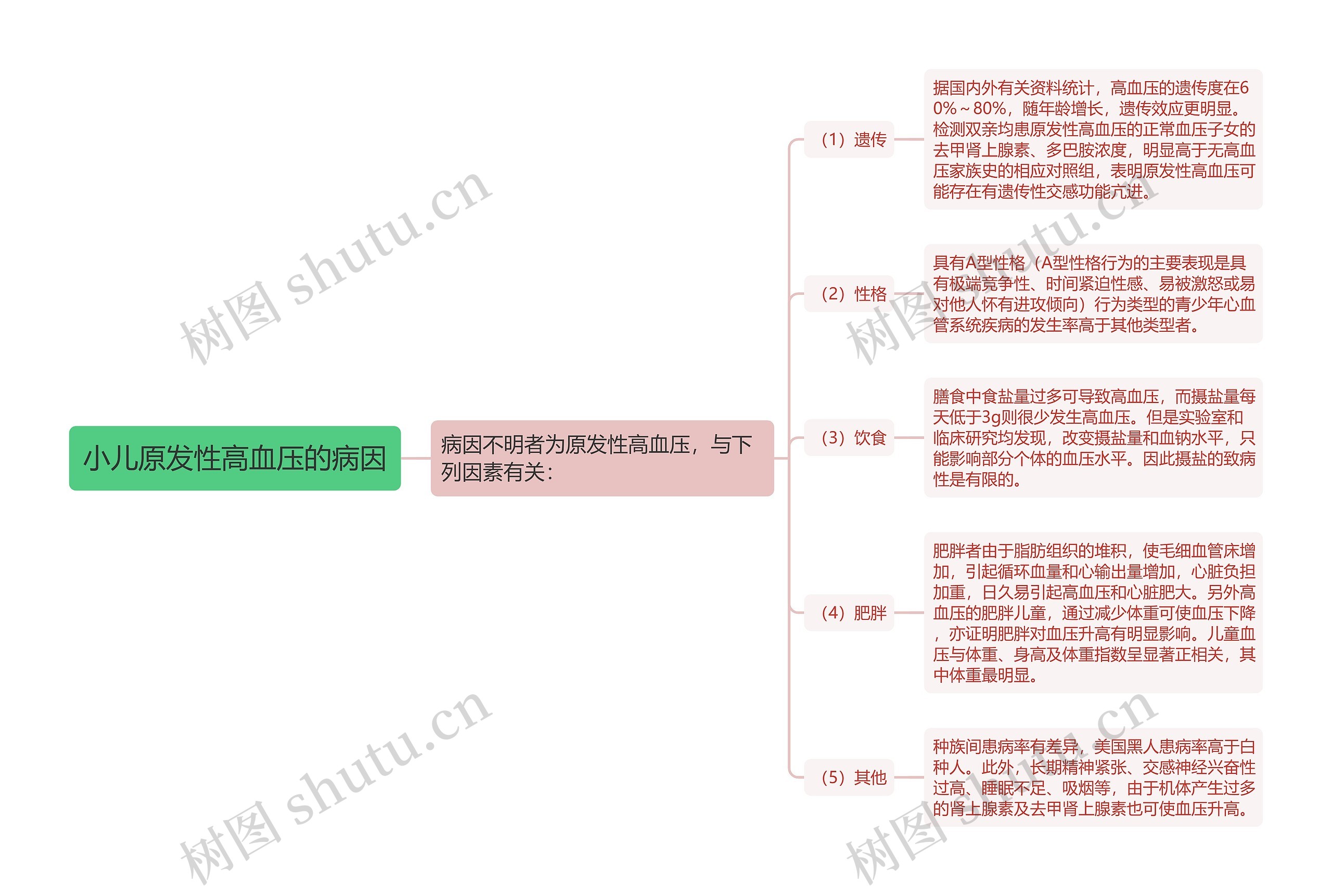 小儿原发性高血压的病因