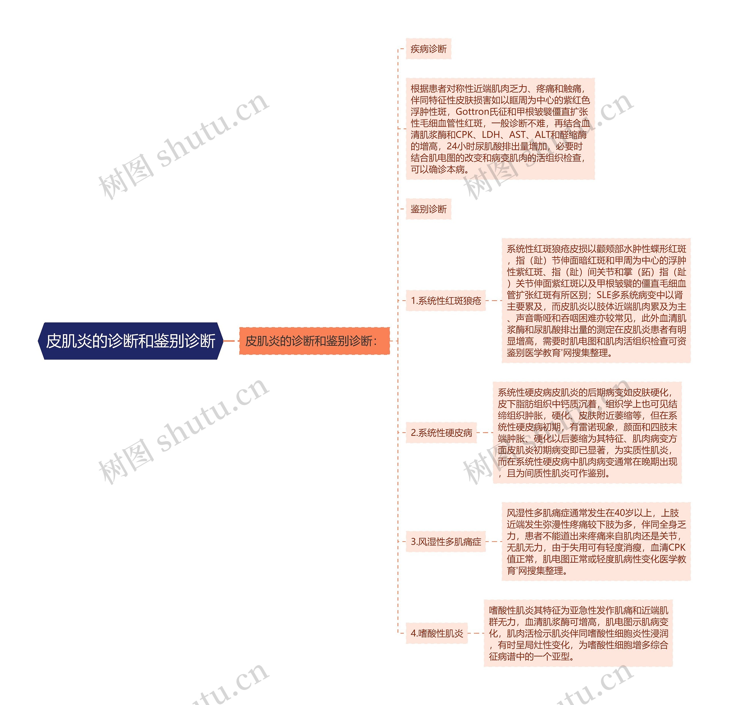 皮肌炎的诊断和鉴别诊断思维导图