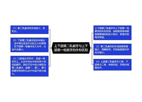 上下颌第二乳磨牙与上下颌第一恒磨牙的外形区别