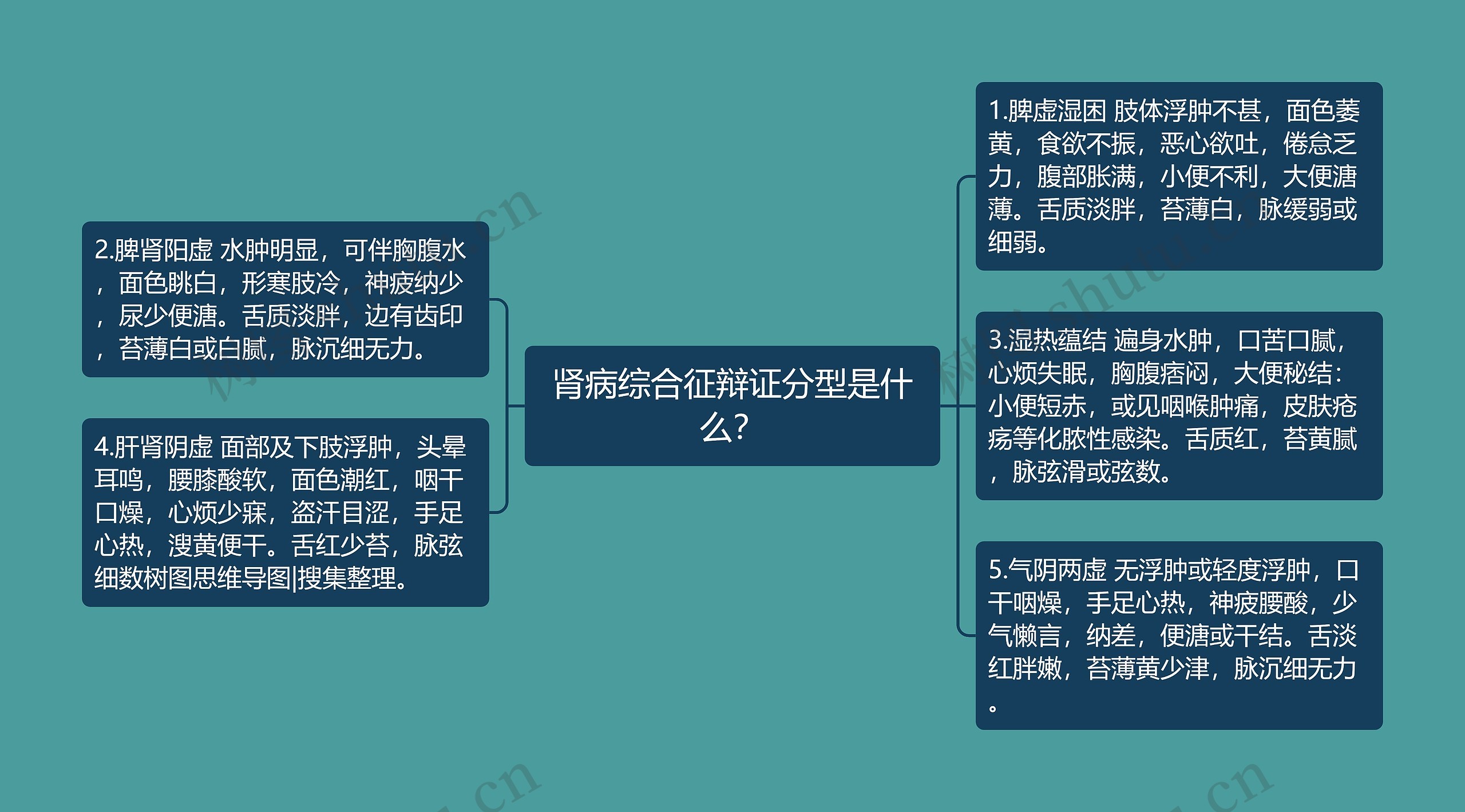 肾病综合征辩证分型是什么? 肾病综合征辩证分型是什么?