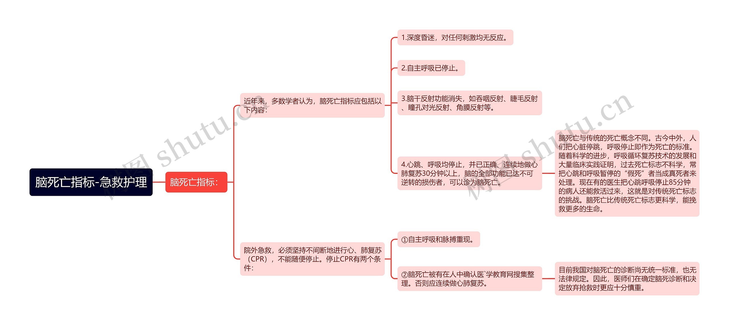 脑死亡指标-急救护理思维导图