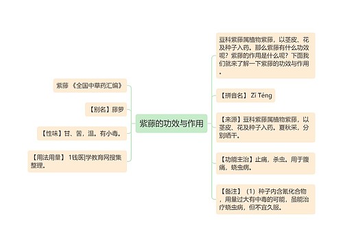 紫藤的功效与作用