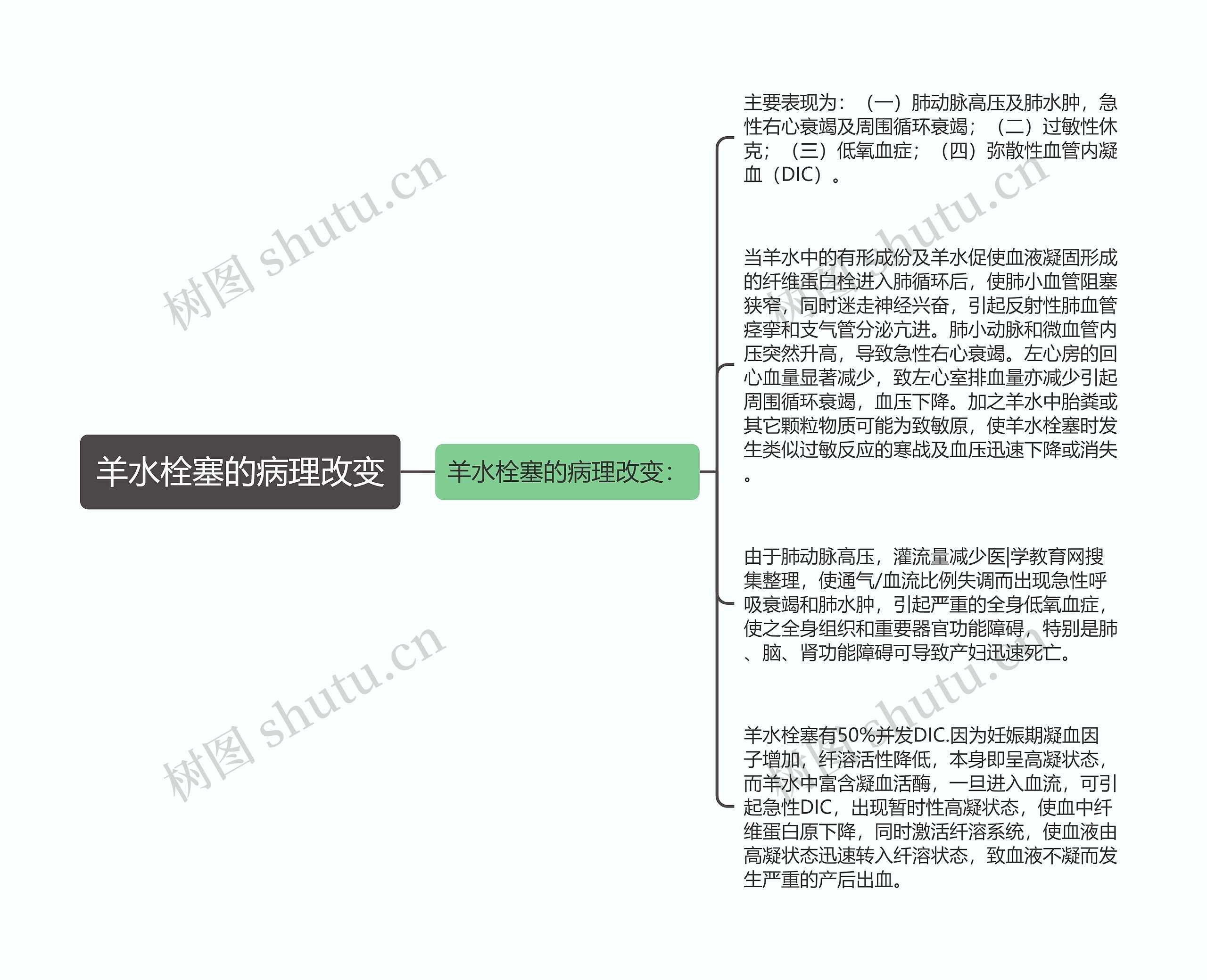 羊水栓塞的病理改变