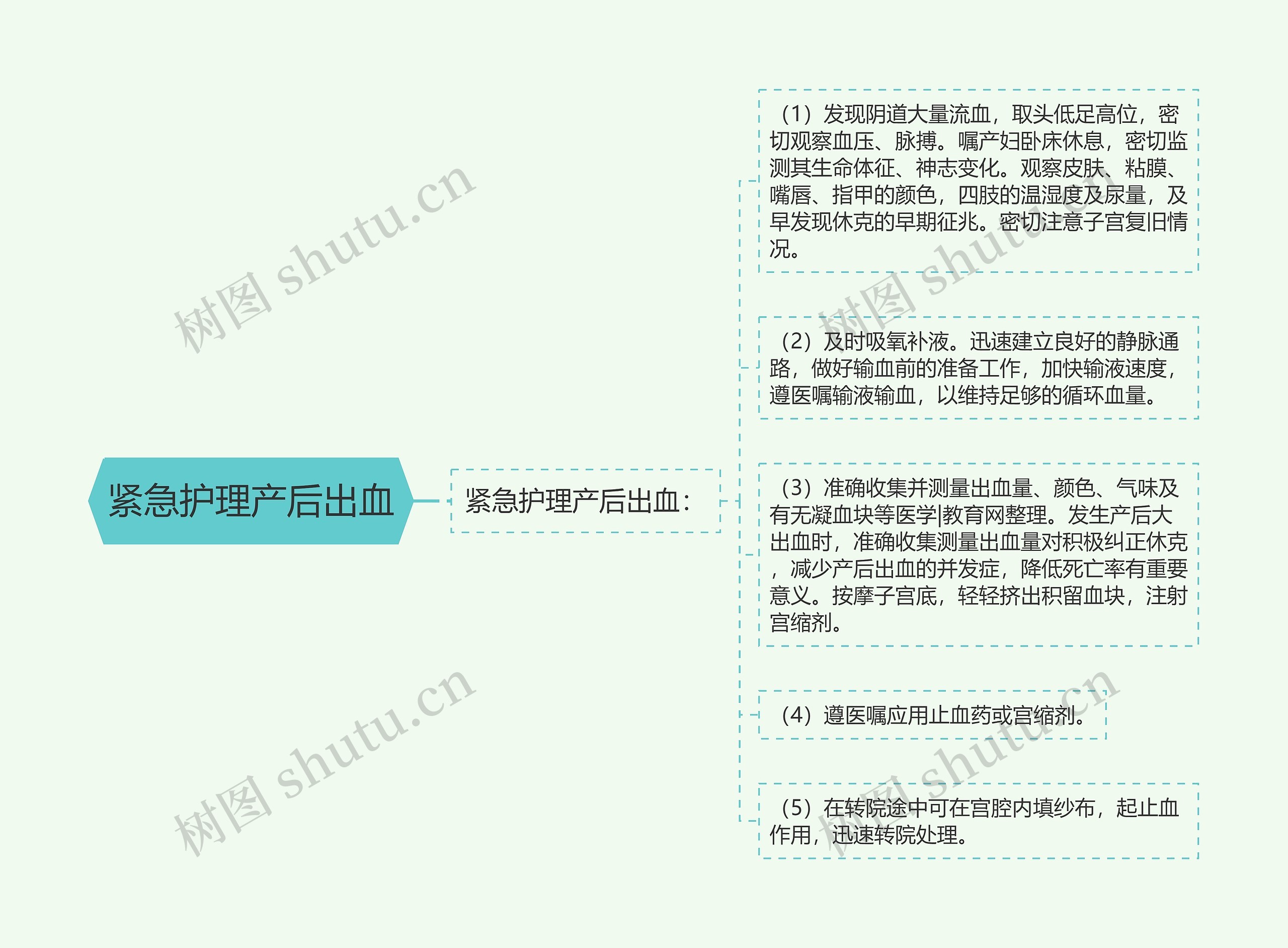 紧急护理产后出血思维导图