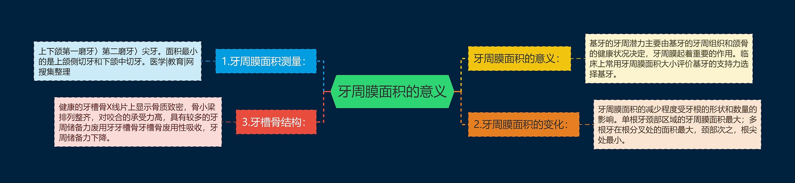 牙周膜面积的意义 牙周膜面积的意义