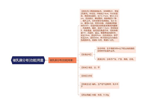 催乳藤分布|功能|用量