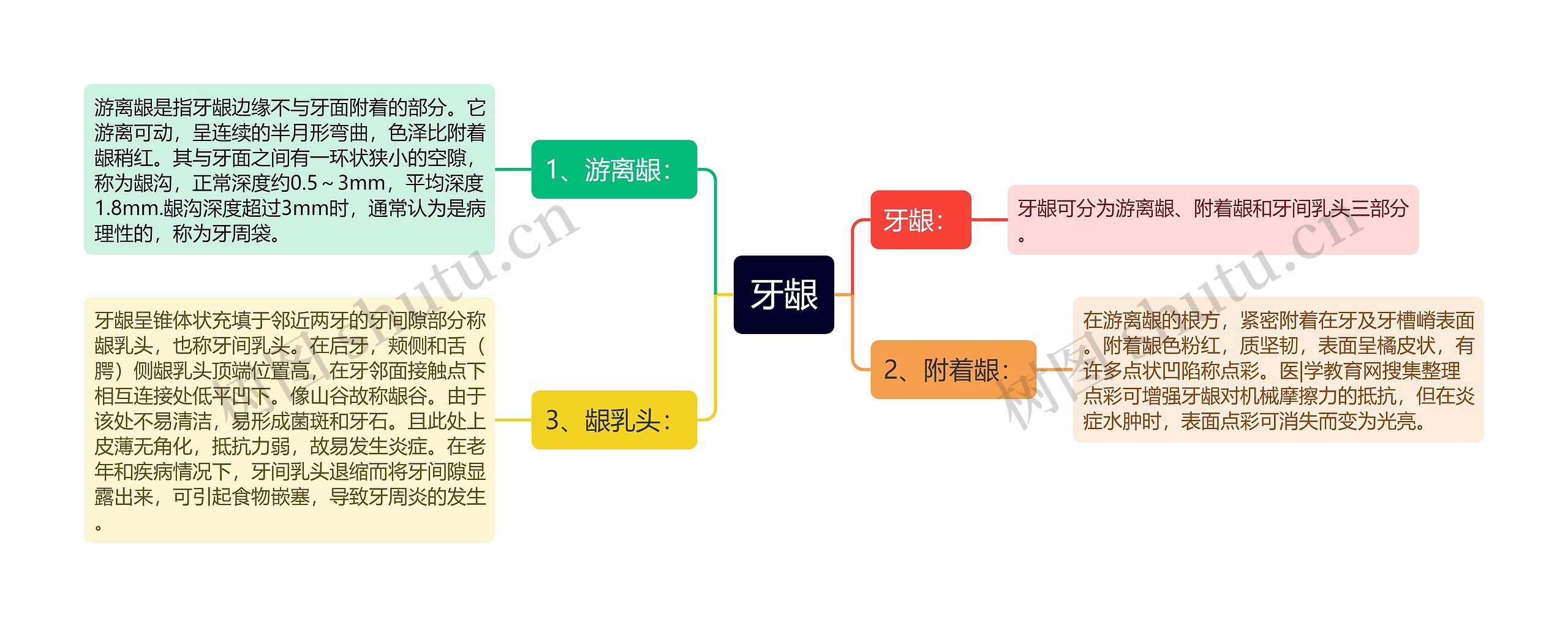 牙龈思维导图