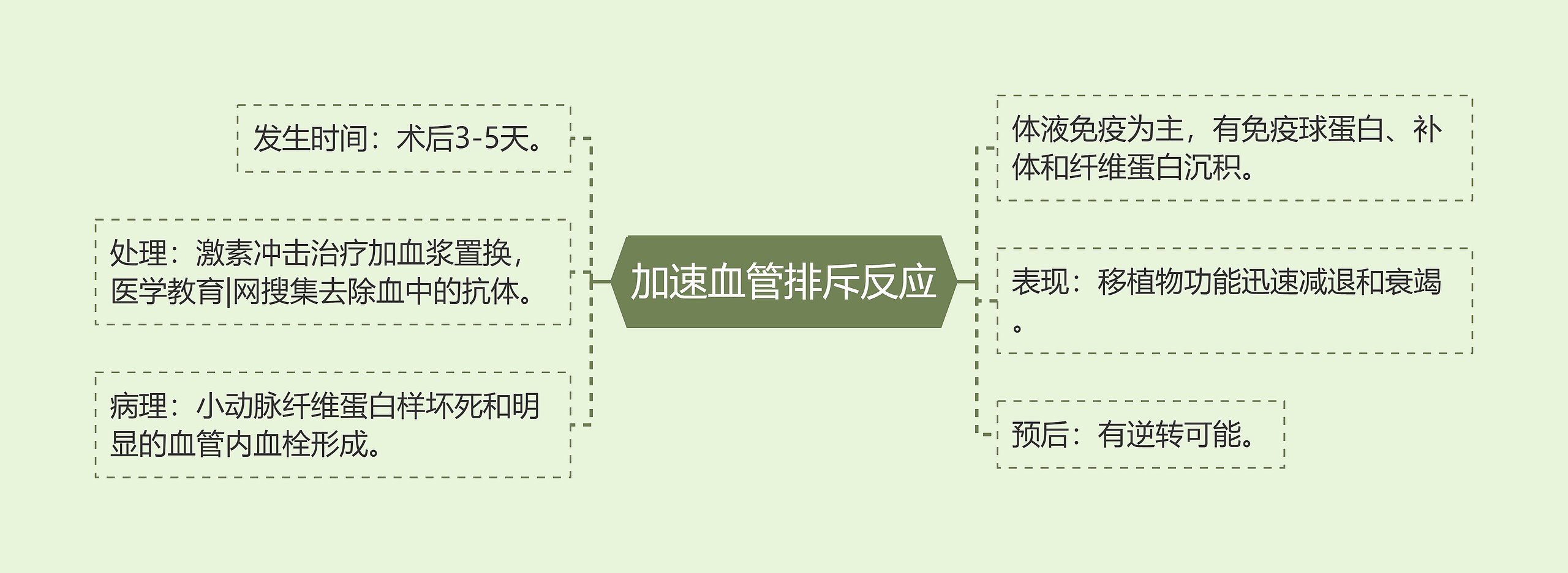 加速血管排斥反应思维导图