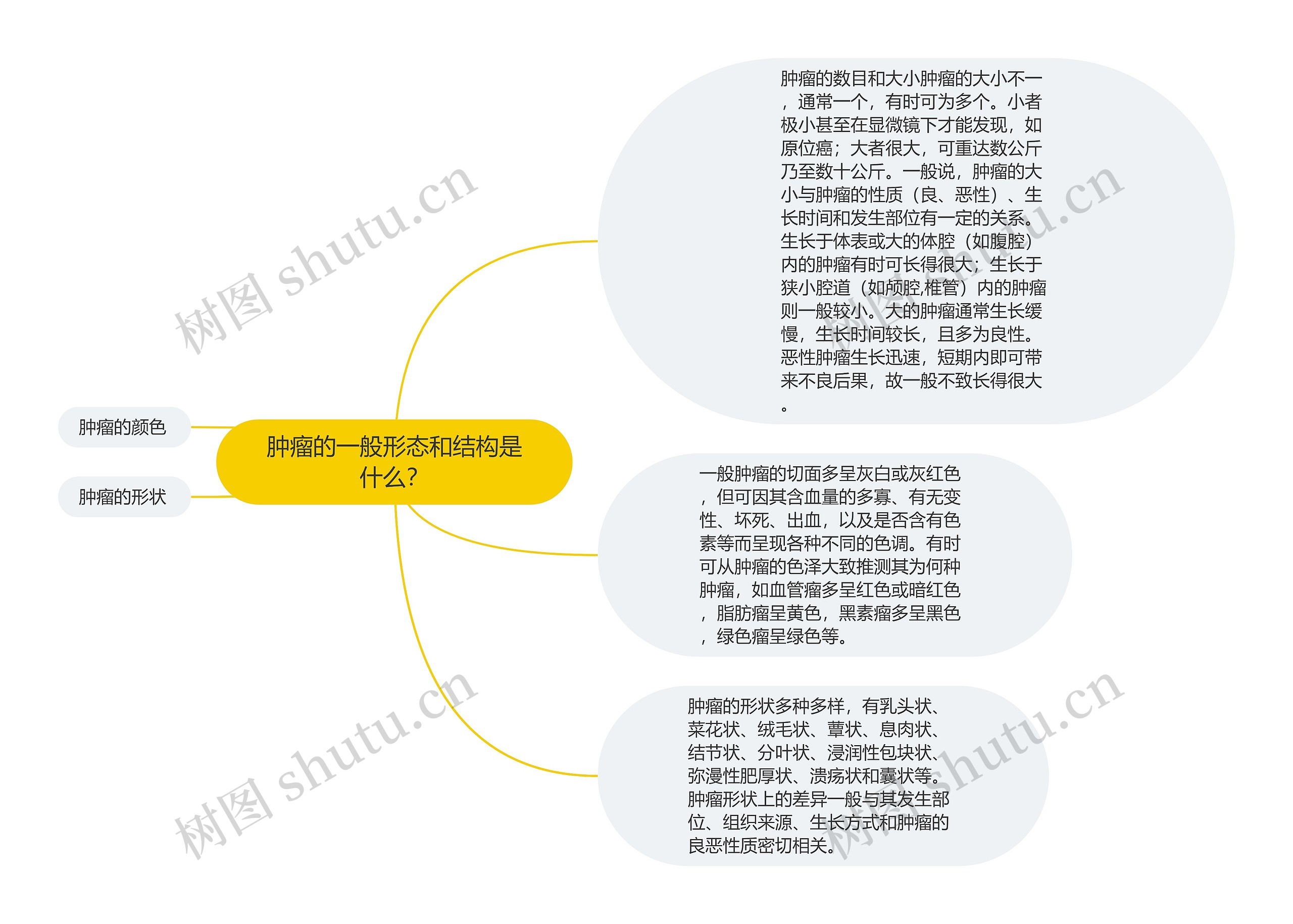 肿瘤的一般形态和结构是什么？思维导图