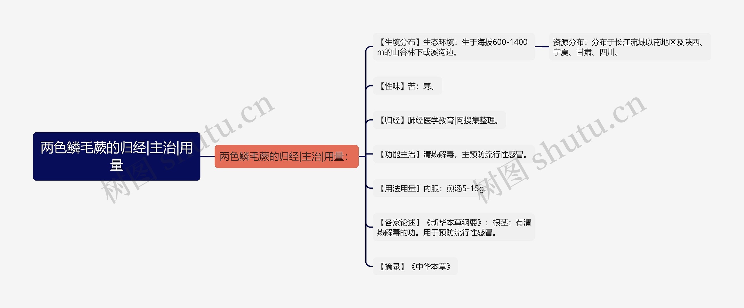 两色鳞毛蕨的归经|主治|用量