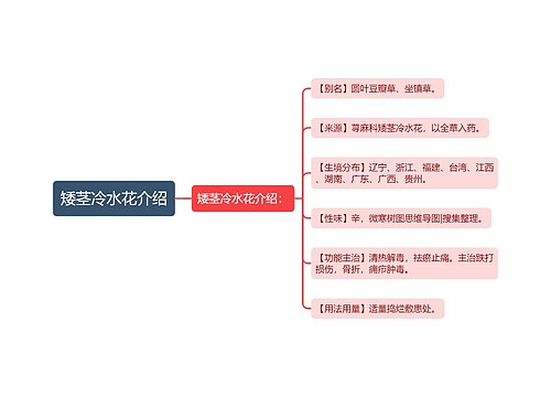 矮茎冷水花介绍