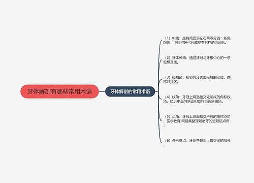 牙体解剖有哪些常用术语