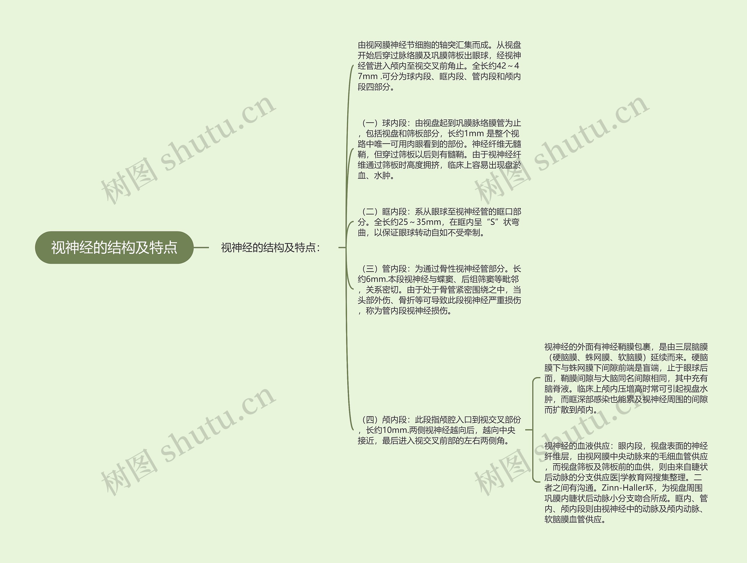 视神经的结构及特点思维导图