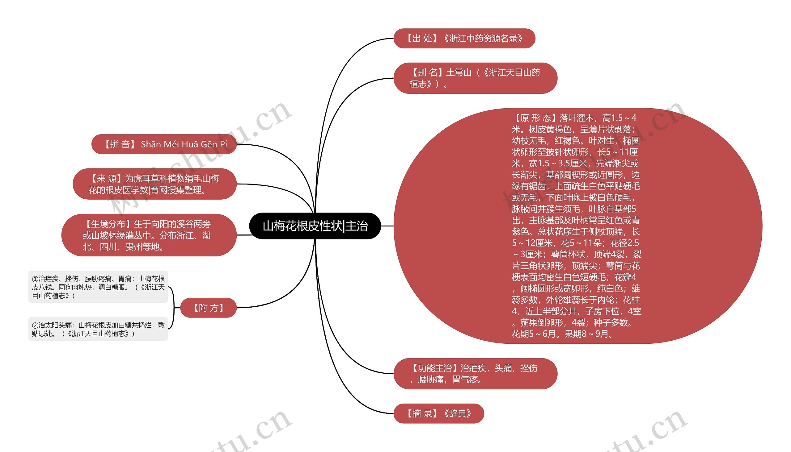 山梅花根皮性状|主治思维导图