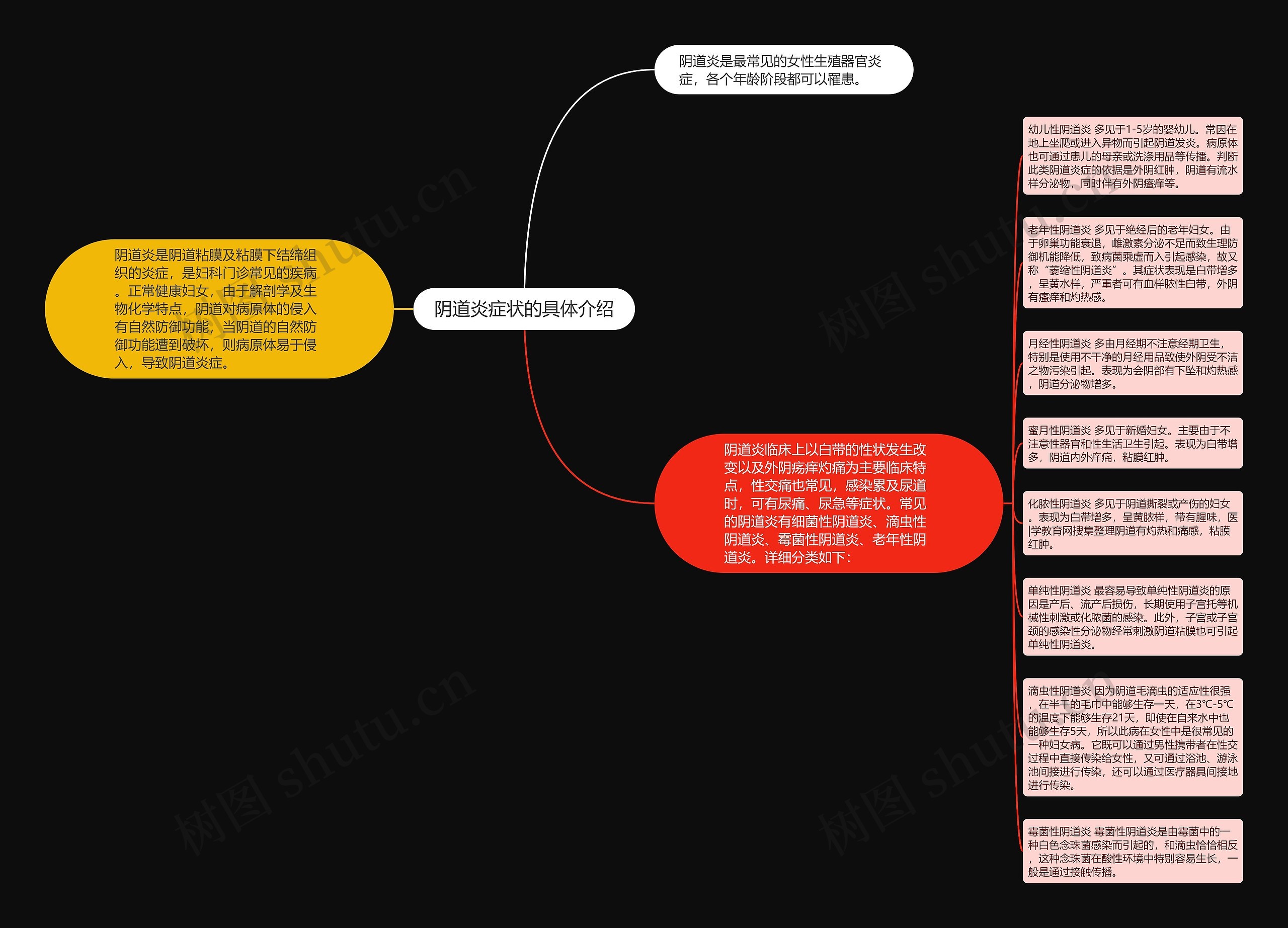 阴道炎症状的具体介绍思维导图