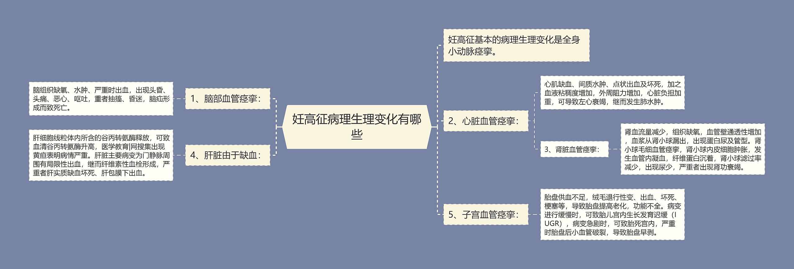 妊高征病理生理变化有哪些思维导图