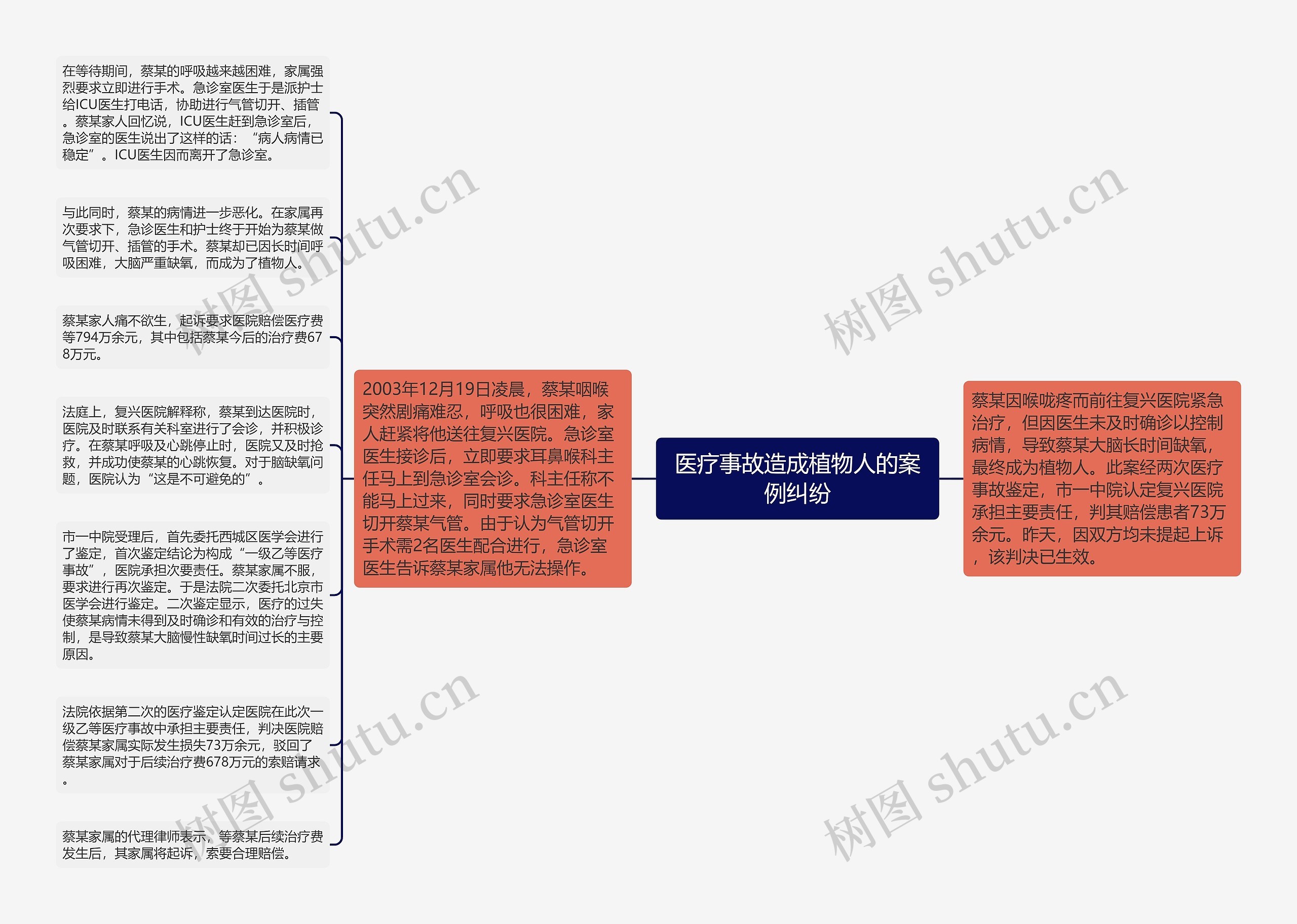 医疗事故造成植物人的案例纠纷思维导图