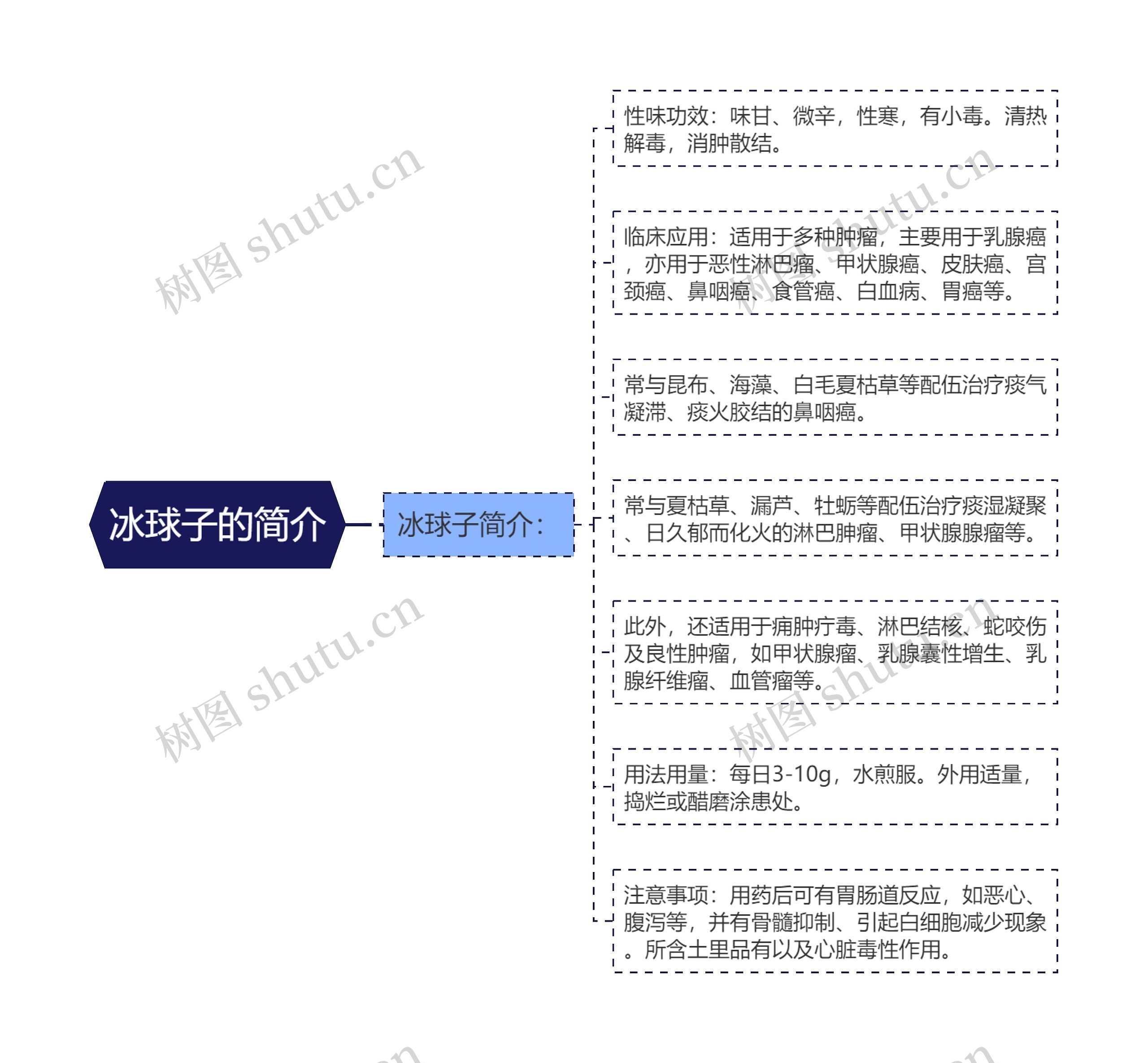 冰球子的简介 冰球子的简介