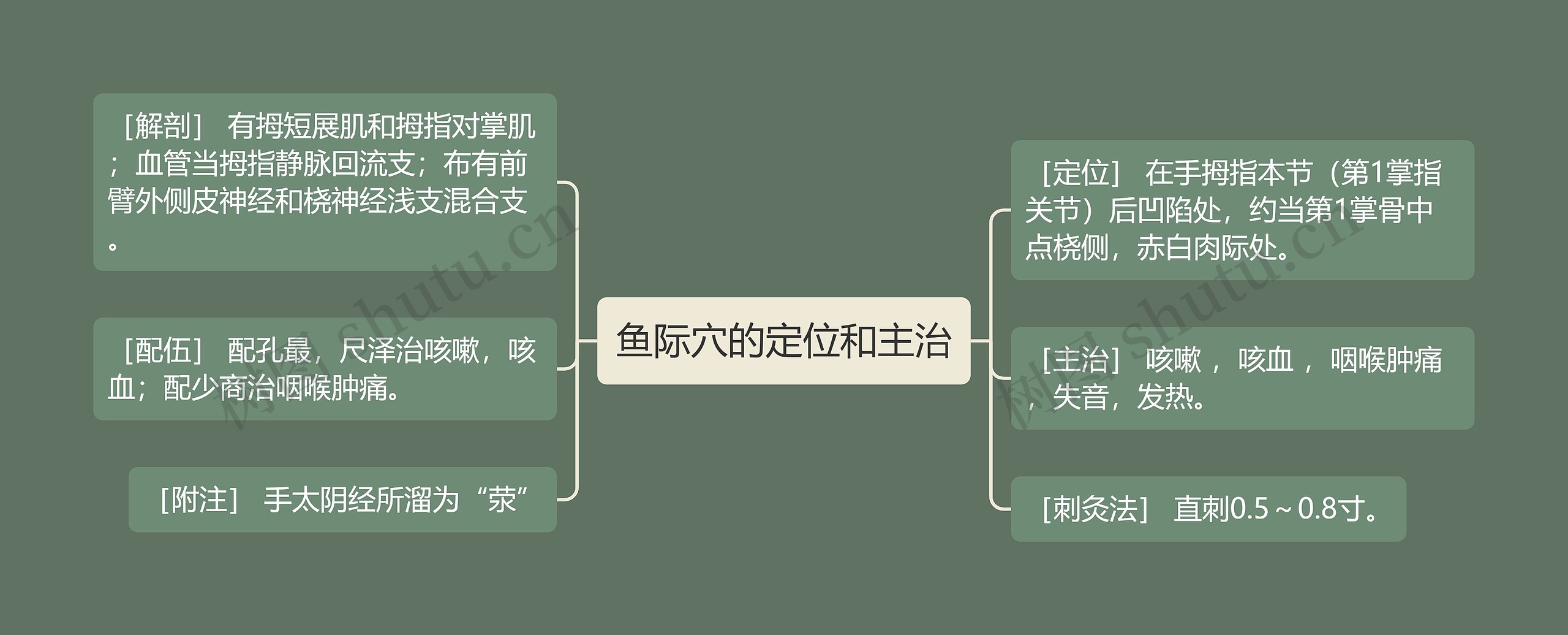 鱼际穴的定位和主治思维导图