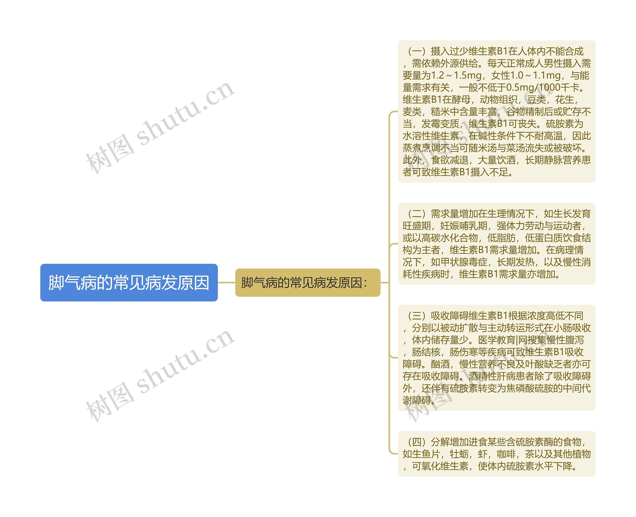 脚气病的常见病发原因思维导图