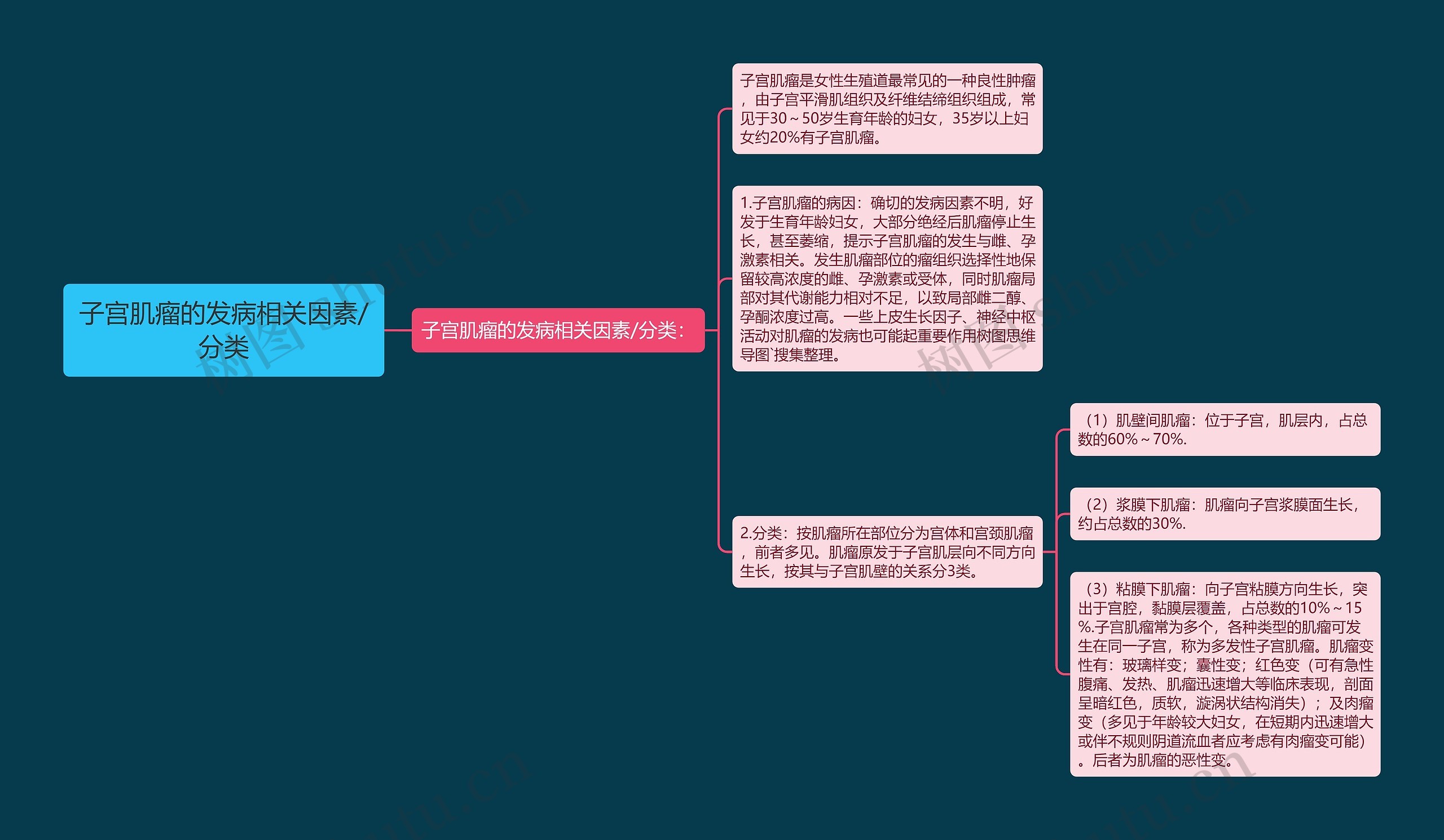 子宫肌瘤的发病相关因素/分类