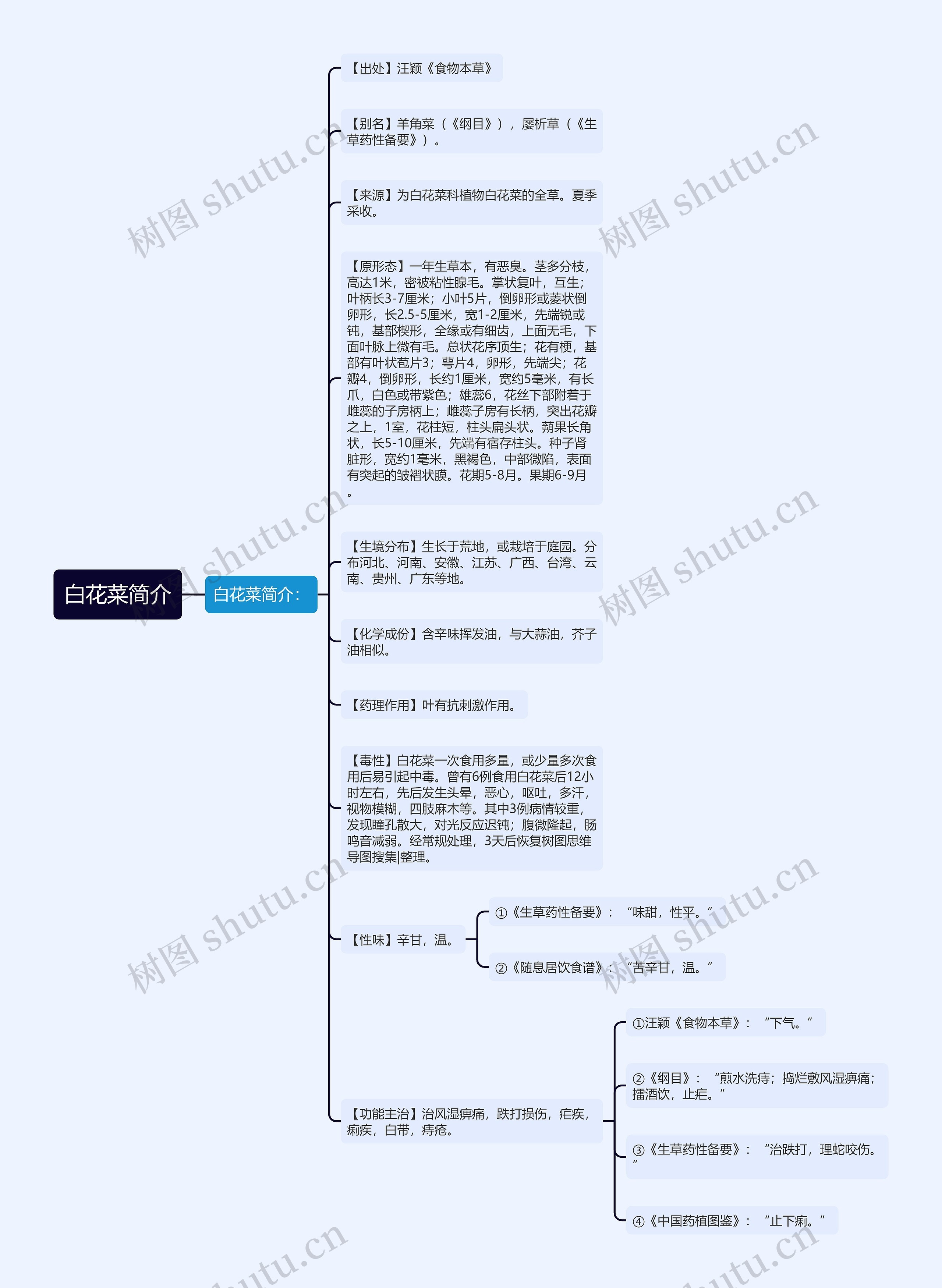 白花菜简介思维导图