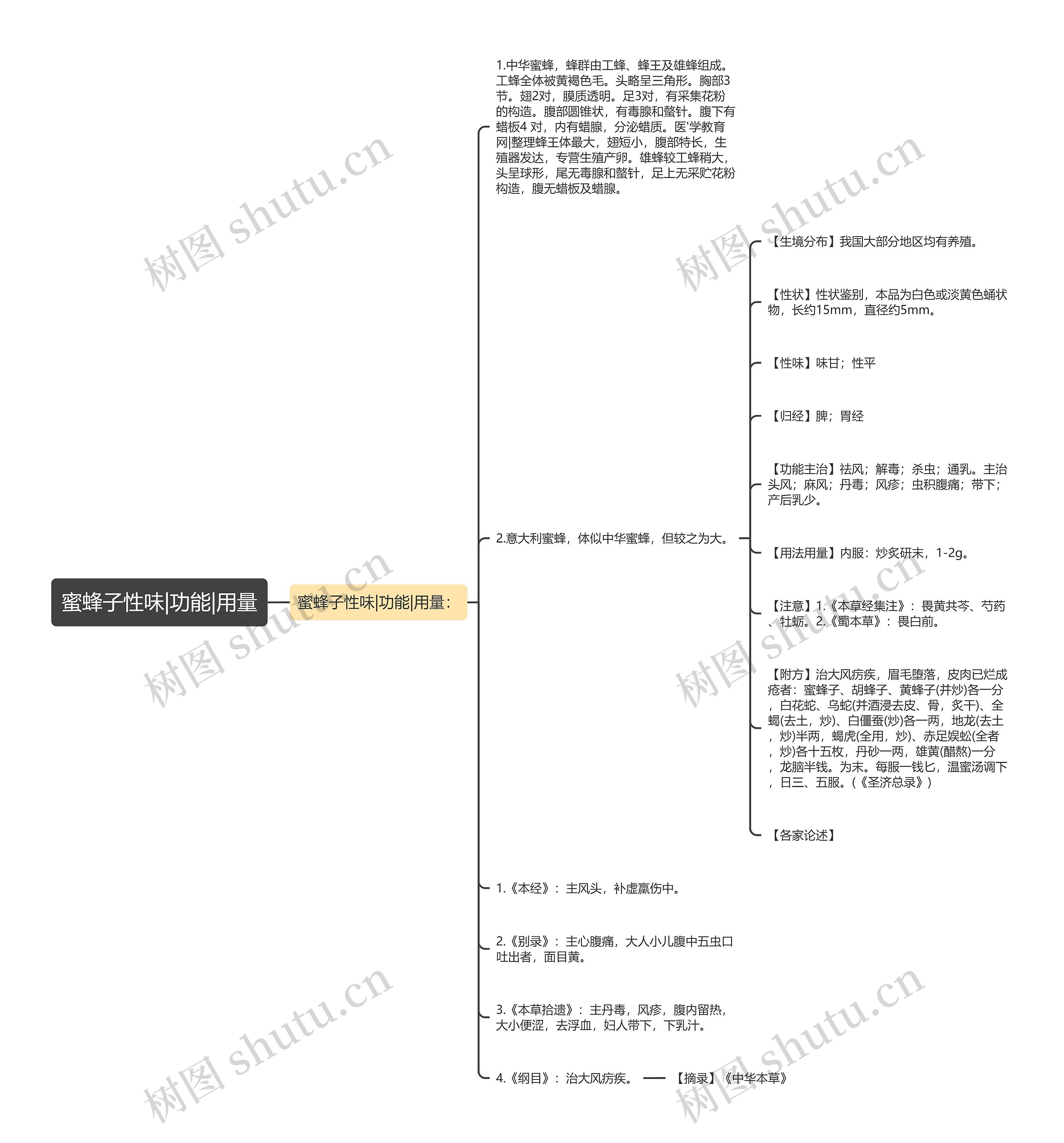 蜜蜂子性味|功能|用量 蜜蜂子性味|功能|用量