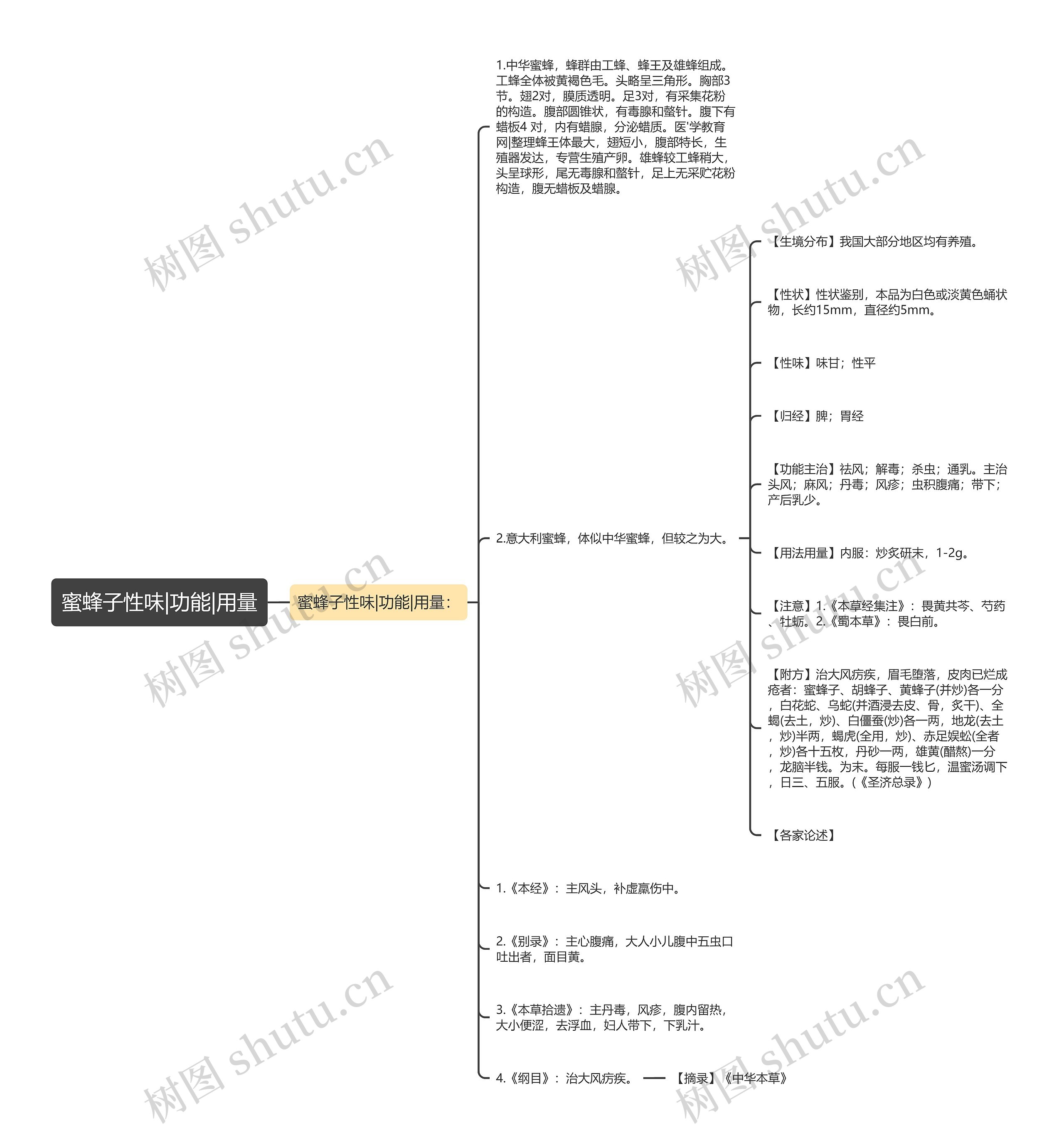 蜜蜂子性味|功能|用量思维导图