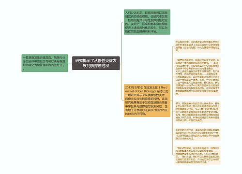 研究揭示了从慢性炎症发展到胰腺癌过程