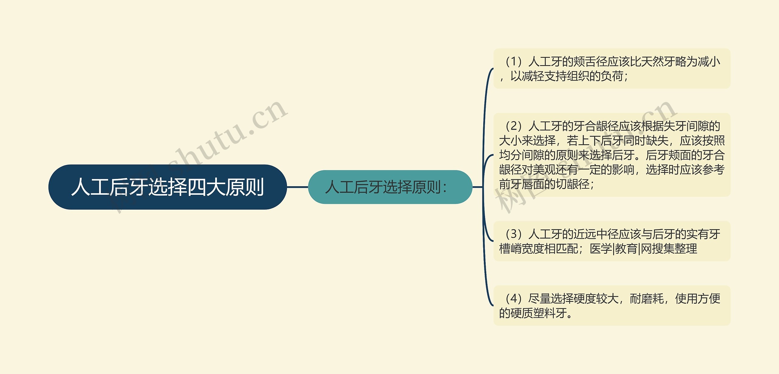 人工后牙选择四大原则